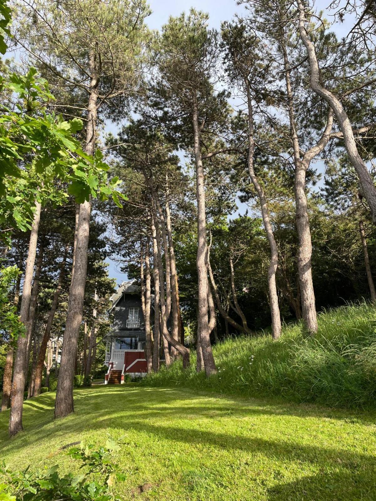 Villa Vue Mer Panoramique En Baie De Somme Ault Extérieur photo